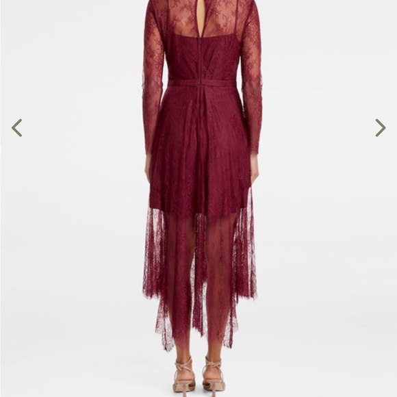 Ever New Arya Chantilly Lace Midi Dress - Picture 3 of 7